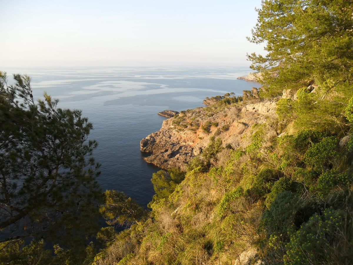 Готель Sol Port Soller Порт-де-Сольєр Екстер'єр фото